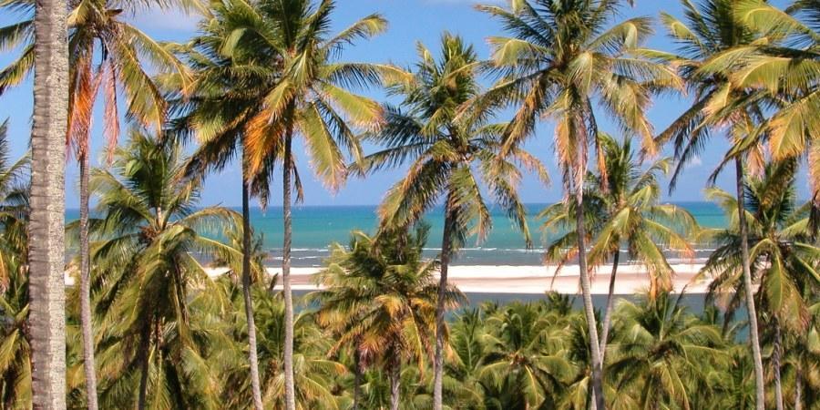 Barravilha Chales Barra do Cunhau Luaran gambar